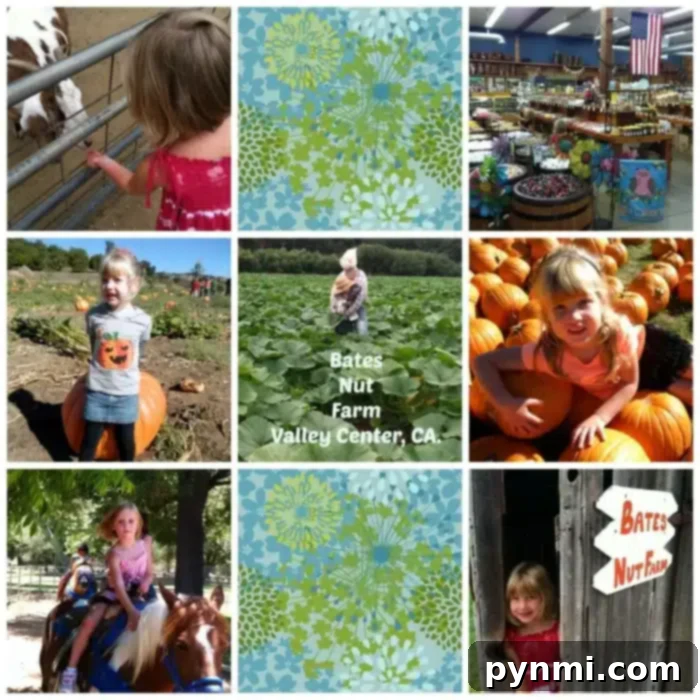 Bates Nut Farm in Valley Center: A Family Destination for Halloween, Christmas, Petting Zoo & Craft Fairs Bates Nut Farm Valley Center