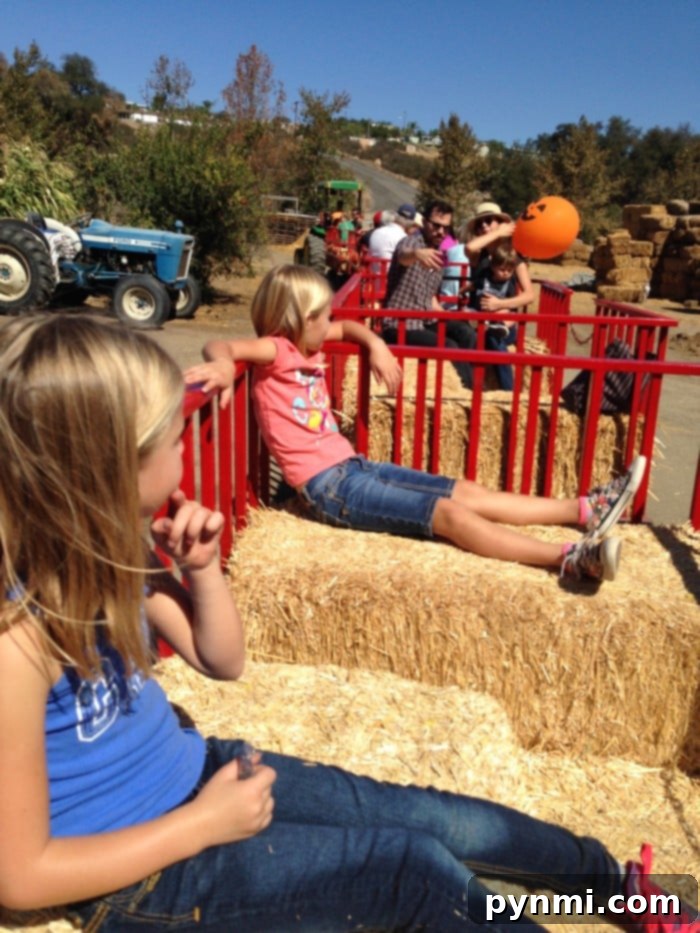 Experience All the Exciting Events at Bates Nut Farm Throughout the Year Bates Nut Farm events and seasonal celebrations