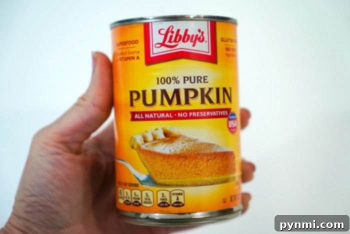 Decadent No-Bake Pumpkin Cheesecake 2 canned pumpkin