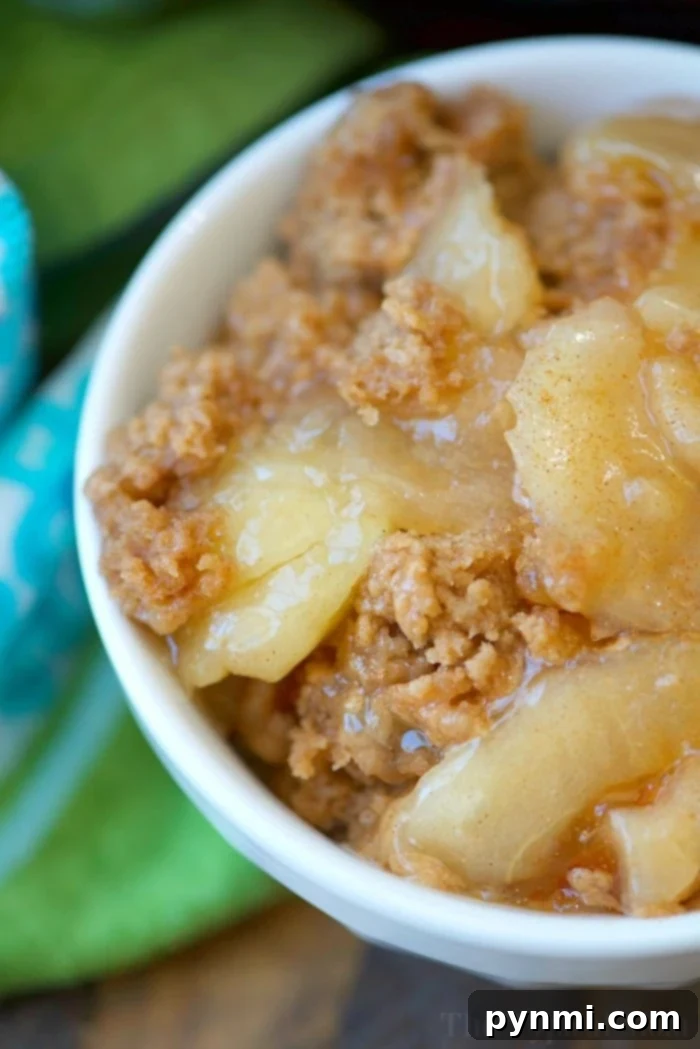 Instant Pot Magic Cake 3 Close-up of a delectable Instant Pot apple dump cake with a golden-brown top, ready to be served.
