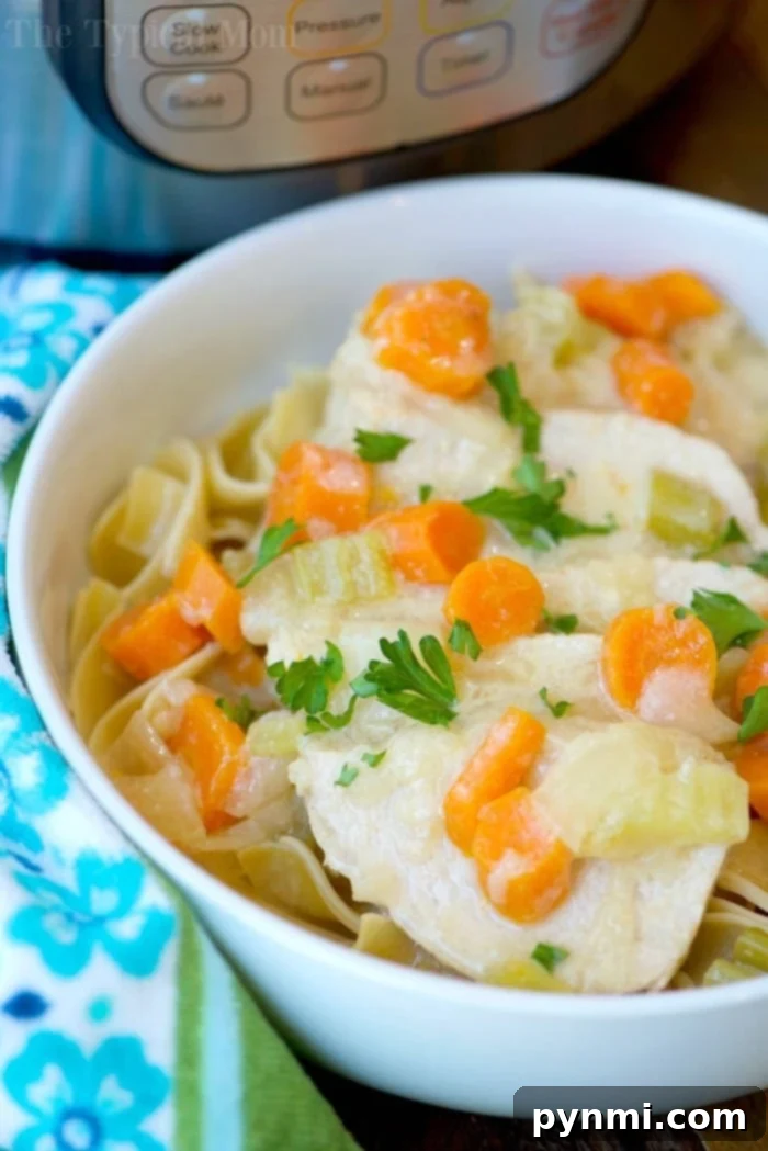 Instant Pot Pork Stroganoff: Creamy & Quick A rich, creamy Instant Pot pork stroganoff, featuring succulent pork and tender vegetables, is served invitingly in a bowl beside the pressure cooker, ready to be enjoyed.