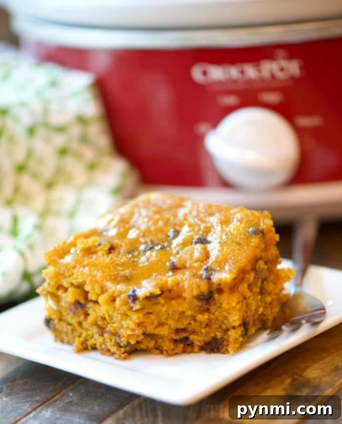 A delectable slice of pumpkin cake with chocolate chips rests on a plate, with a slow cooker subtly in the background, signaling homemade delights.