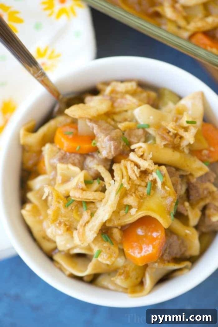 easy beef stew casserole, beautifully plated with rich sauce and fresh herbs.