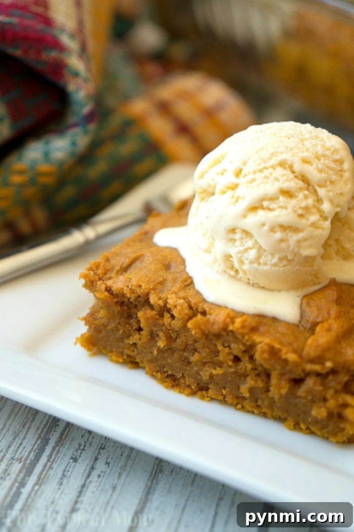 Decadent Cake Mix Pumpkin Pudding Delight 3 A close-up shot of a magnificent slice of pumpkin cake, featuring its rich orange hue and delicate texture. A scoop of vanilla ice cream gently melts on top, highlighting the cake's moist interior.