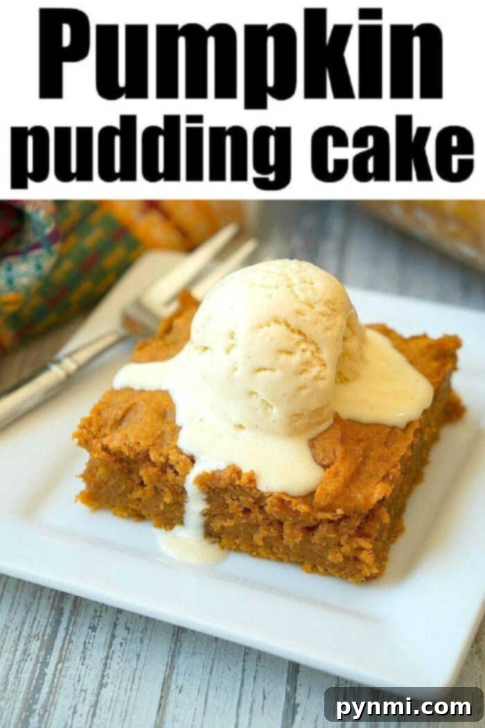 Decadent Cake Mix Pumpkin Pudding Delight 7 A beautifully presented slice of pumpkin pudding cake with a delicate drizzle of caramel sauce and a dusting of cinnamon, emphasizing its autumnal appeal.