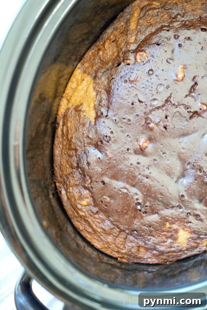 Delicious crockpot brookies with distinct layers of chocolate chip cookies and fudgy brownies, ready to be scooped and enjoyed. Easy slow cooker dessert.