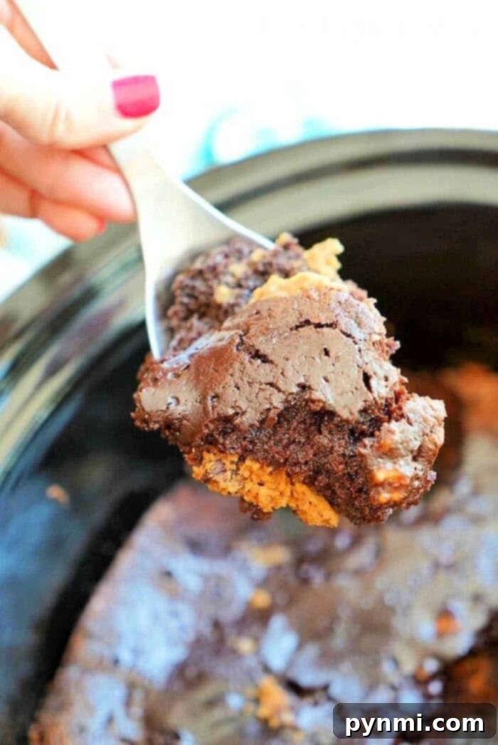 Close-up of a serving of crockpot brookies topped with ice cream, featuring the rich chocolate layers. Easy slow cooker dessert for any occasion.
