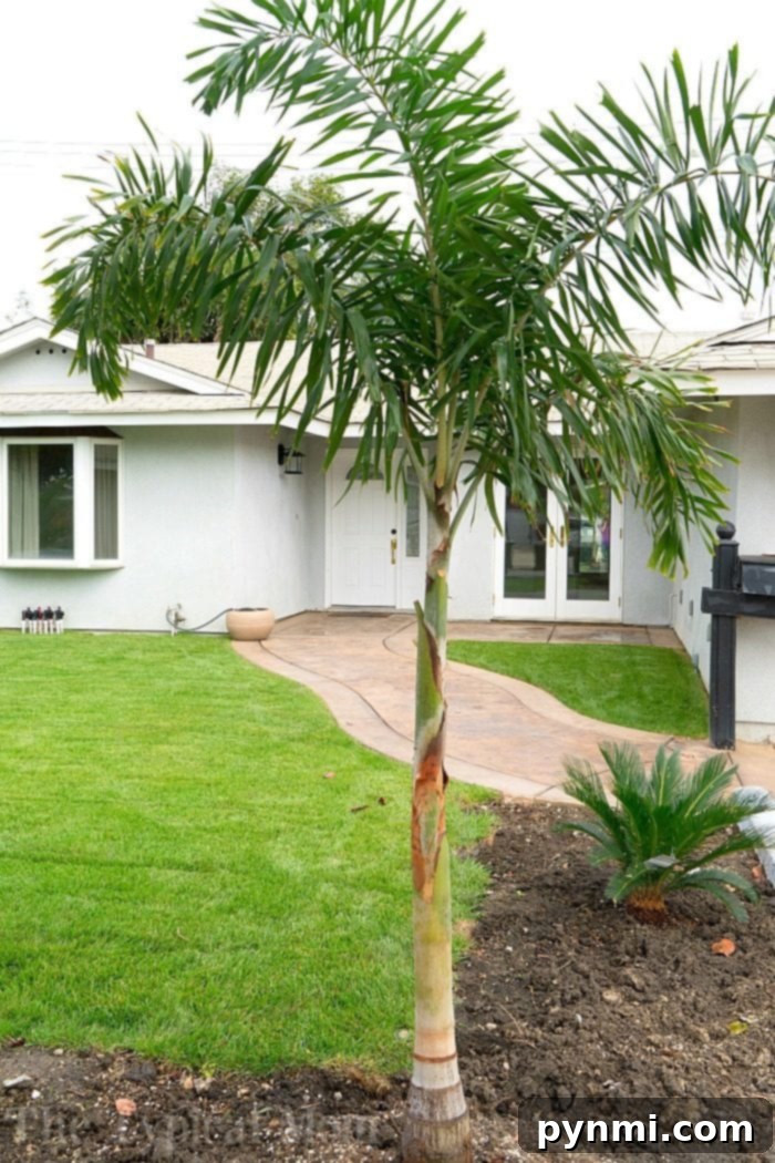 Successfully renting out your home