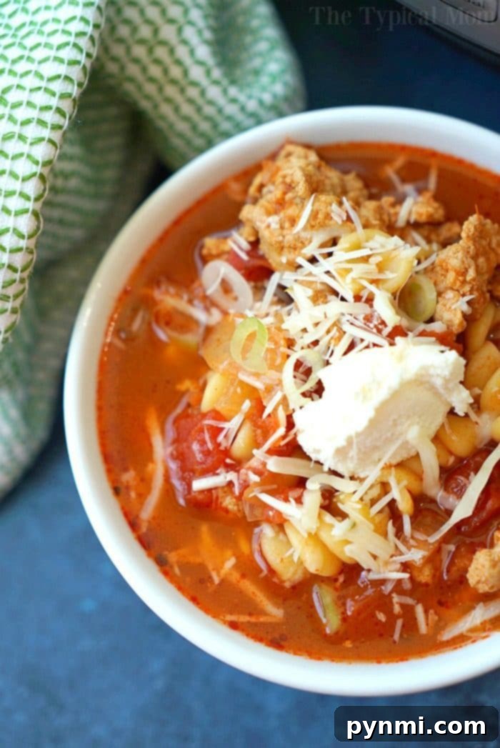 Easy Instant Pot pasta recipes to get you started with your pressure cooker! Simple soups and main dishes with pasta in them that we love. #instantpotrecipes #instantpot #ninjafoodirecipes #ninjafoodi #thetypicalmom #pasta instant pot lasagna soup 2 - a hearty and comforting pasta soup