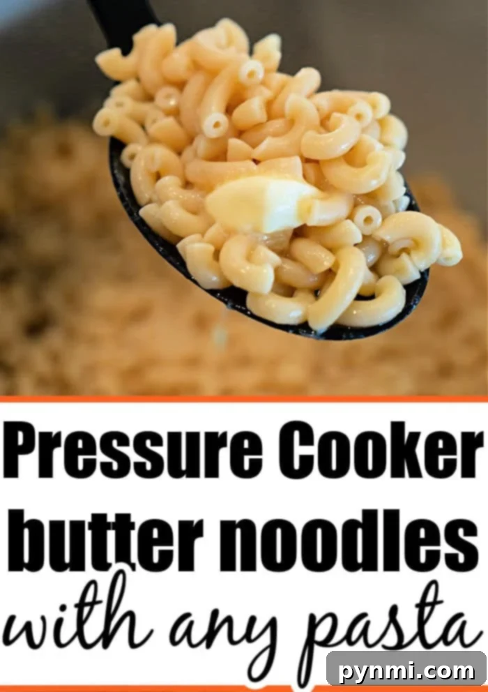 Effortless Instant Pot Pasta Dinners 7 instant pot butter noodles - a close-up of the simple pasta dish