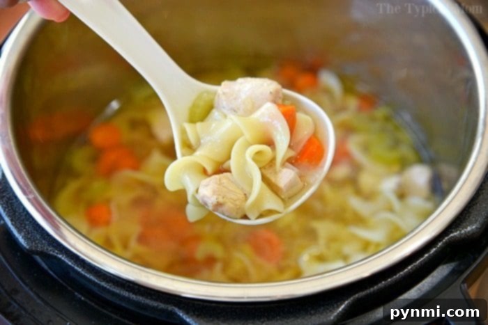 Easy Instant Pot pasta recipes to get you started with your pressure cooker! Simple soups and main dishes with pasta in them that we love. #instantpotrecipes #instantpot #ninjafoodirecipes #ninjafoodi #thetypicalmom #pasta pressure cooker chicken noodle soup