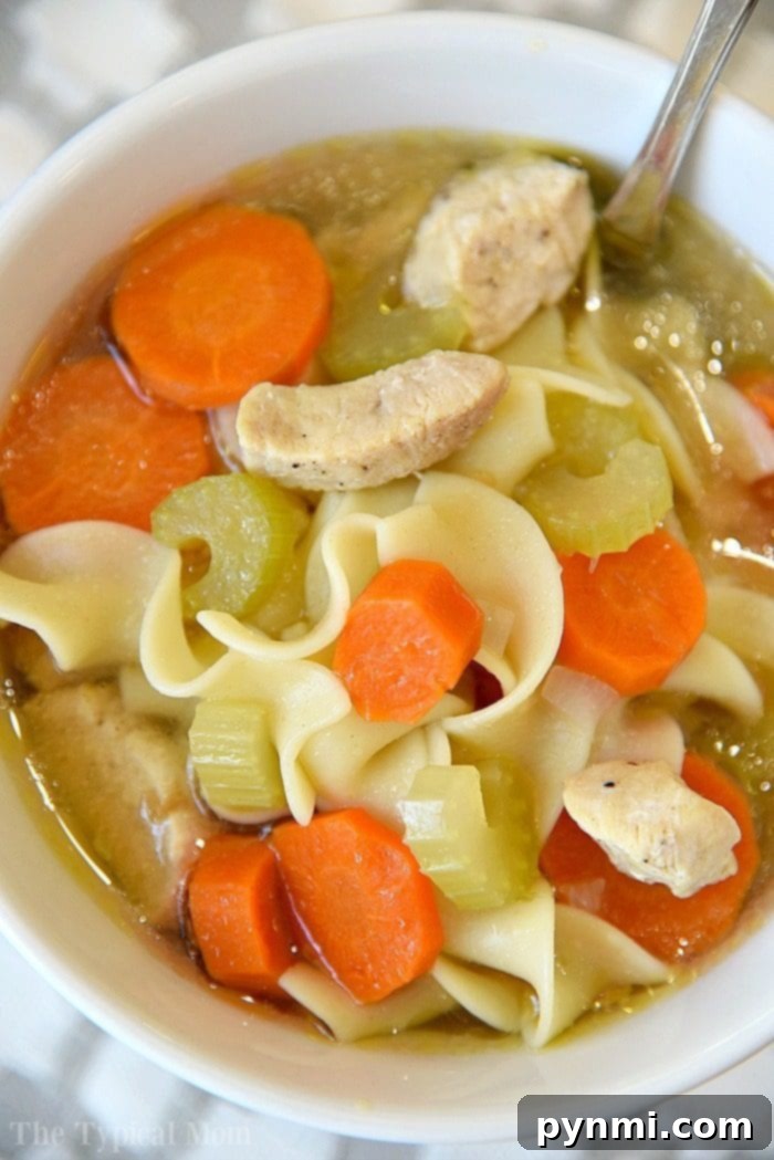 Easy Instant Pot pasta recipes to get you started with your pressure cooker! Simple soups and main dishes with pasta in them that we love. #instantpotrecipes #instantpot #ninjafoodirecipes #ninjafoodi #thetypicalmom #pasta instant pot chicken noodle soup - a comforting bowl of soup with pasta