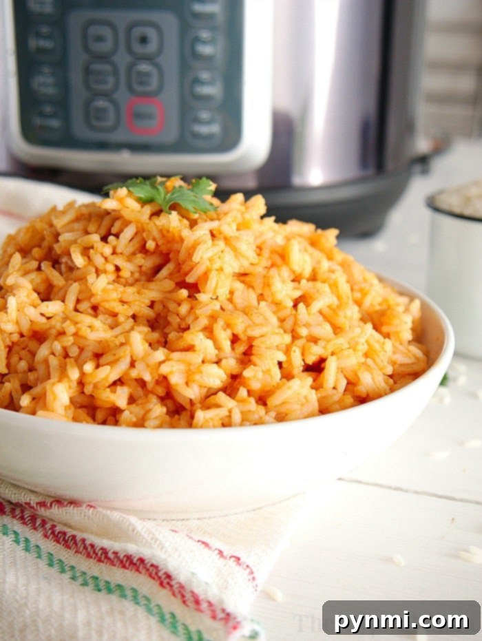 instant pot mexican rice