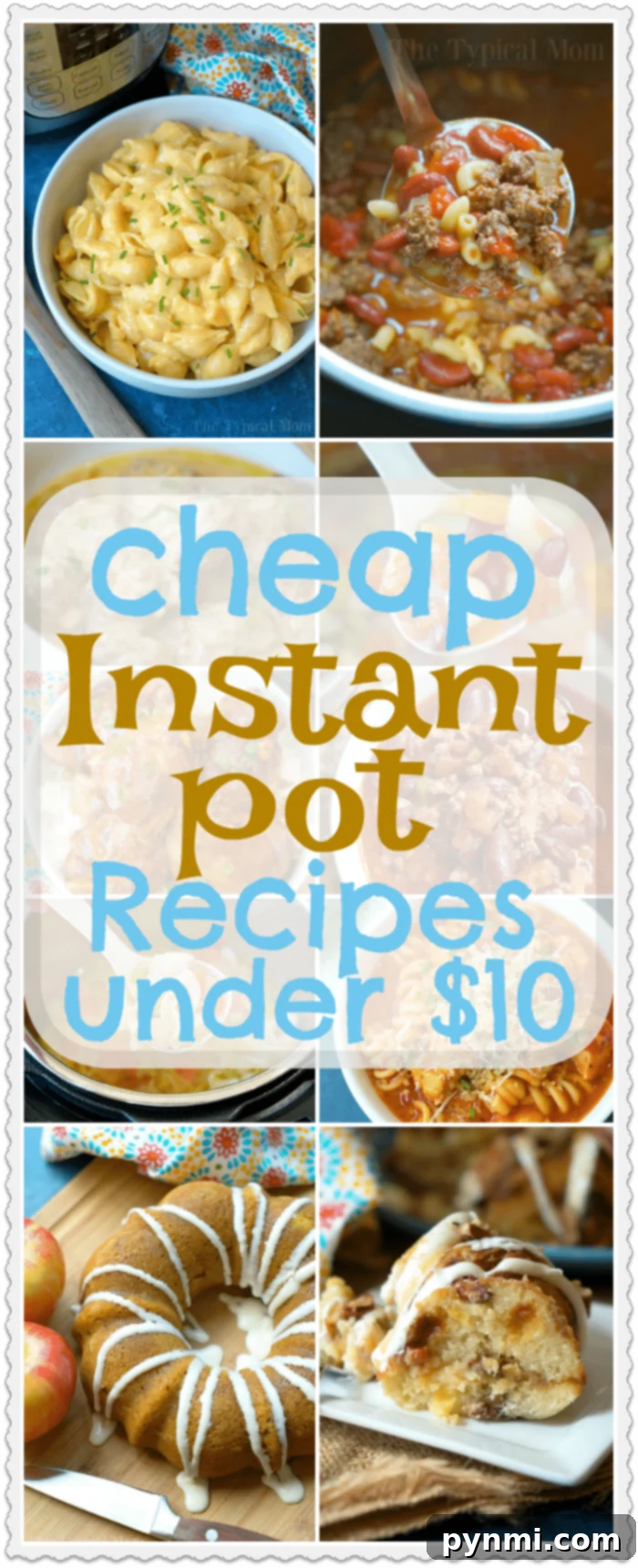 cheap instant pot recipes