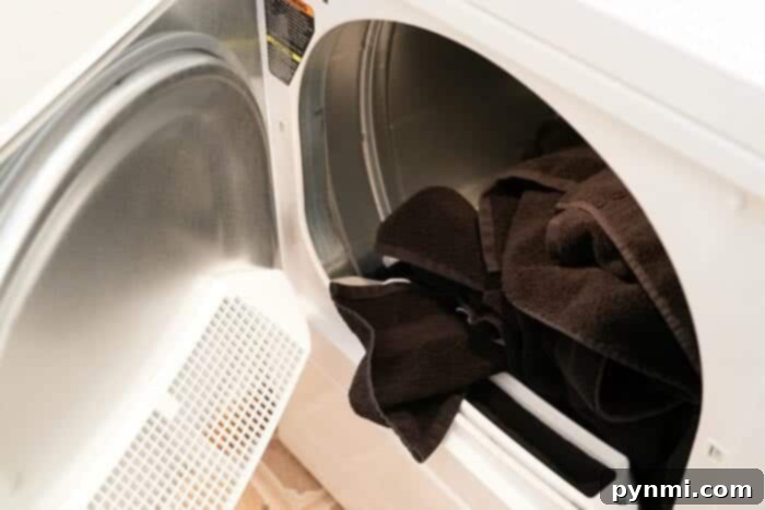 Speed Queen dryer with emphasis on dryer vent cleaning