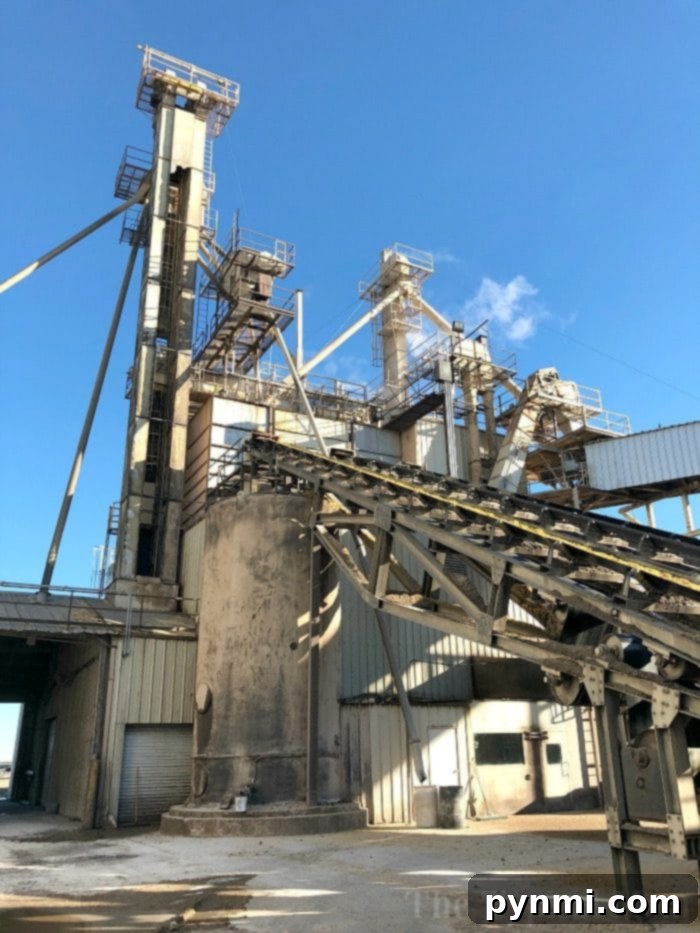 Witnessing cutting-edge feed technology for cattle in Amarillo, Texas Advanced feed production technology and machinery at a Texas cattle farm