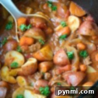 Hearty dutch oven stew with potatoes, carrots, meat, and herbs simmering in a black pot, served with a white ladle.
