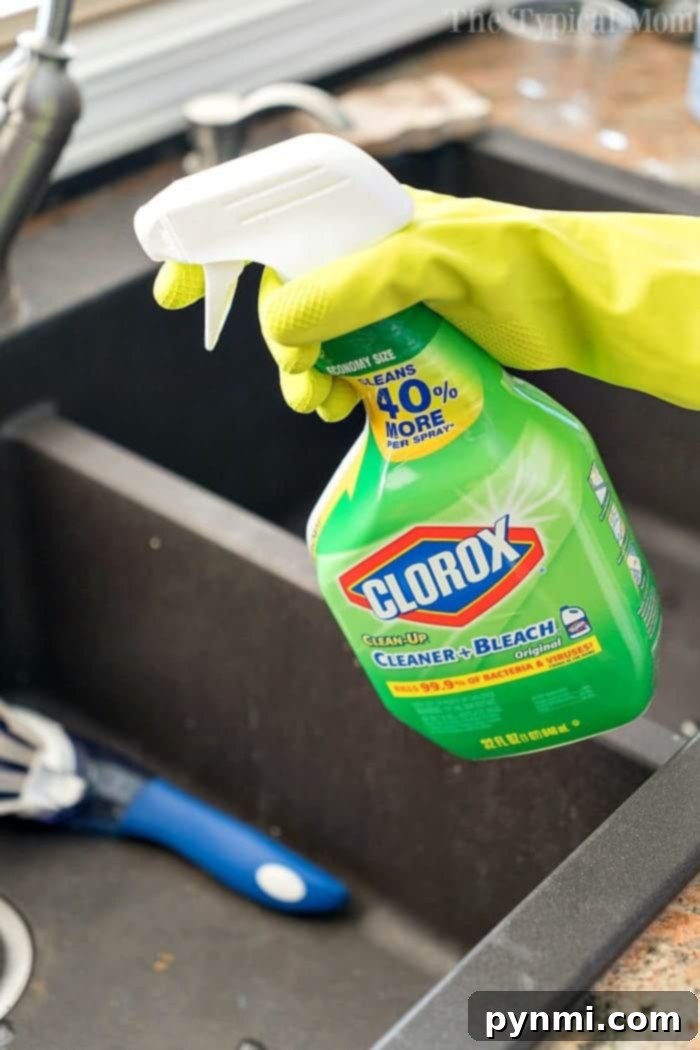 The Ultimate Monthly Cleaning Planner eBook 5 Move-in Move-out Cleaning Checklist
