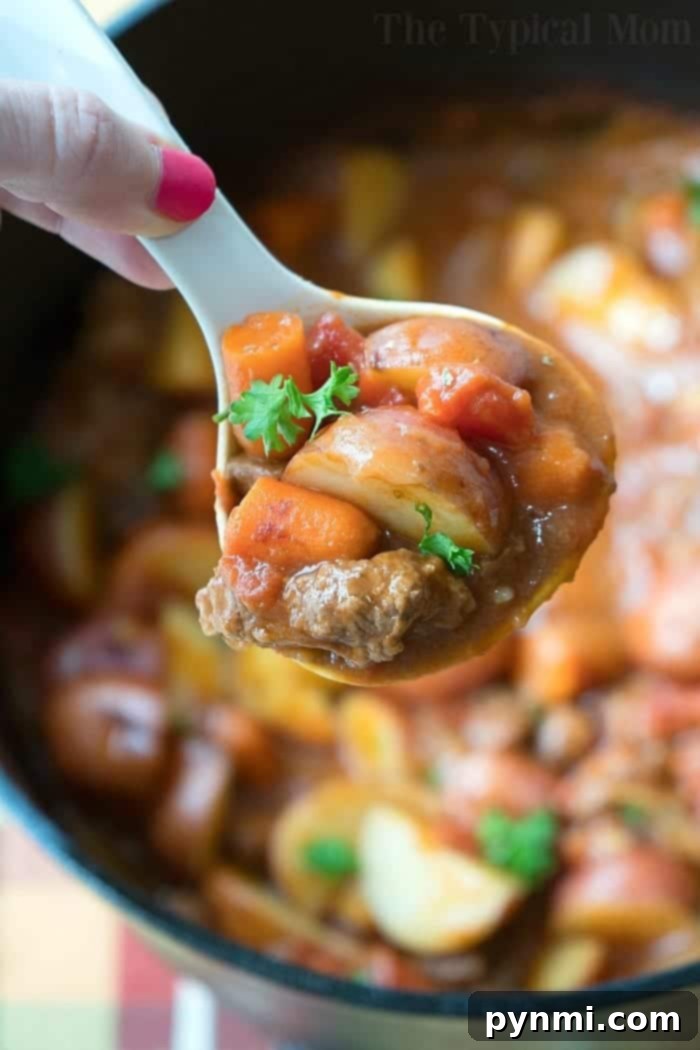 Slow cooker beef stew recipe you can make in your crockpot or stovetop too. Tender beef loaded with vegetables and a flavorful sauce too. #slowcooker #crockpot #beefstew #beef #stew #instantpot #stovetop dutch oven stew for comparison with slow cooker beef stew