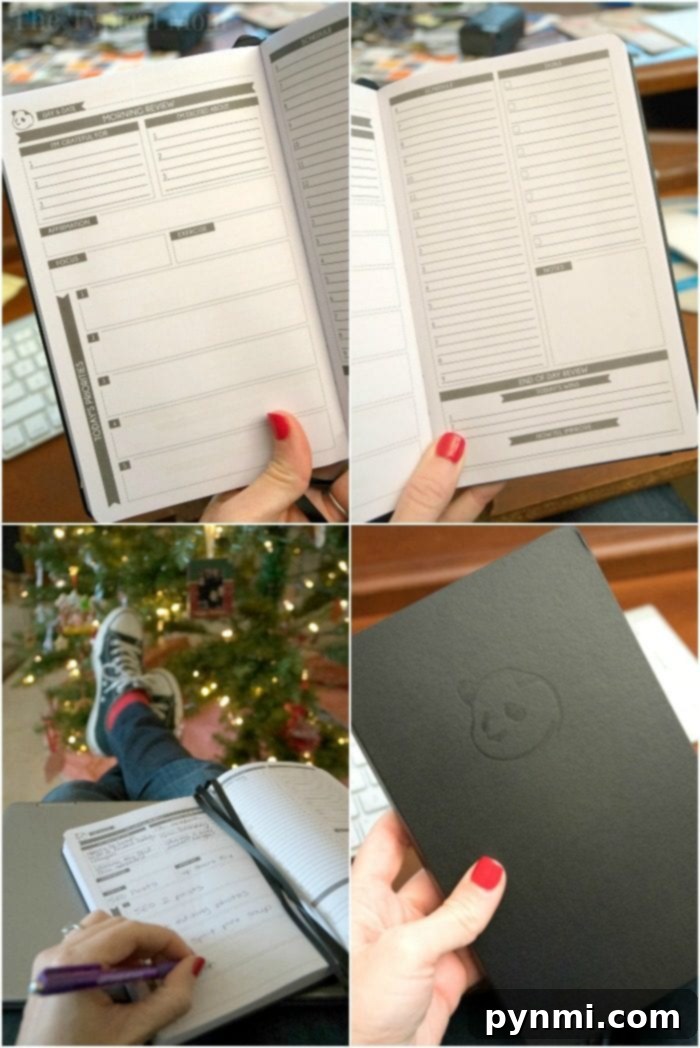Elevate Your Effectiveness 8 panda planner - celebrating success