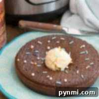 Instant pot chocolate pudding cake topped with sprinkles and ice cream, served on a blue plate near a pressure cooker.
