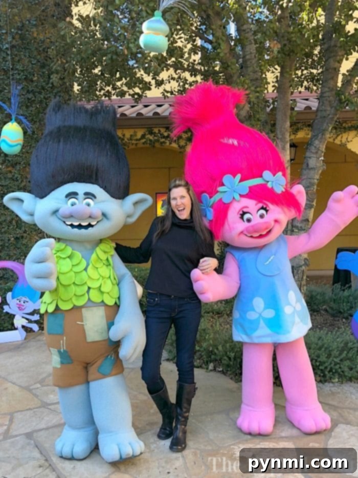 Trolls TV Show Voice Actors DreamWorks Trolls voice actors
