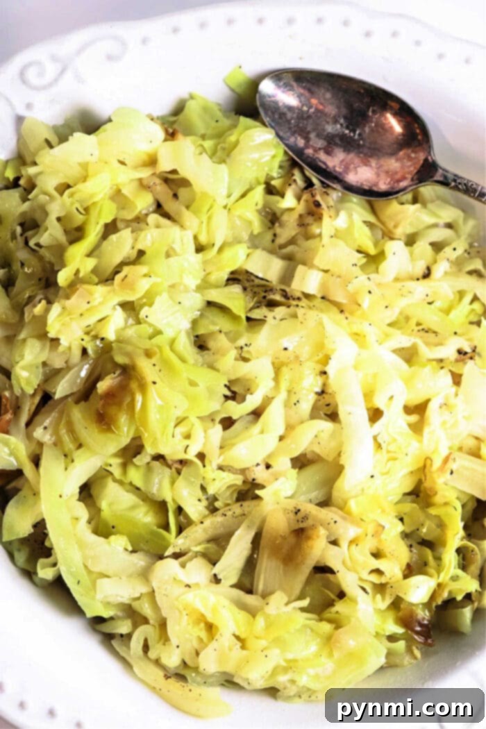 Easy Cabbage Creations 2 A vibrant bowl of cooked cabbage seasoned with fresh herbs, showcasing the simple and delicious possibilities of cabbage recipes.