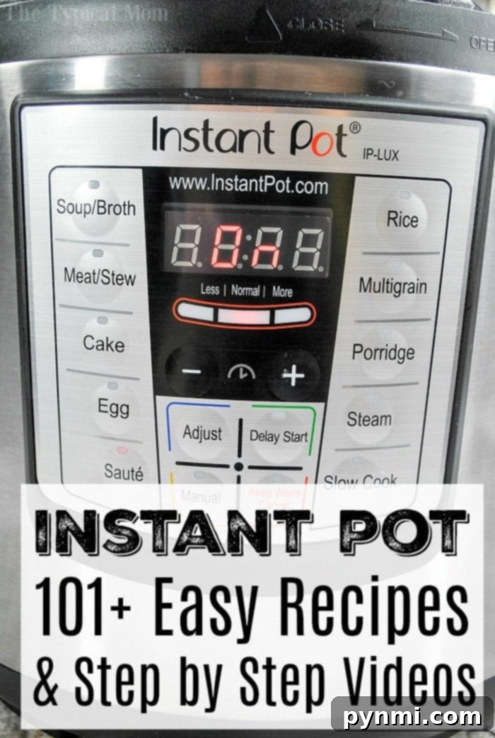 Discovering Easy Instant Pot Recipes Easy Instant Pot Recipes
