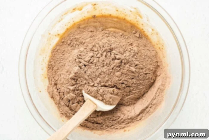 A glass bowl holds a rich, brown brownie mixture, likely a blend of cocoa, flour, and other dry ingredients. A white spatula rests within the mixture, suggesting it's in the process of being stirred or prepared for baking. The scene evokes the initial steps of creating delicious cherry brownies.