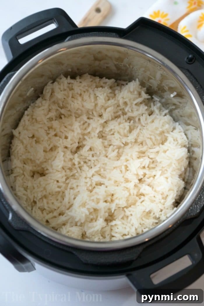 Instant Pot White Rice: Perfectly cooked fluffy white rice in a pressure cooker bowl.