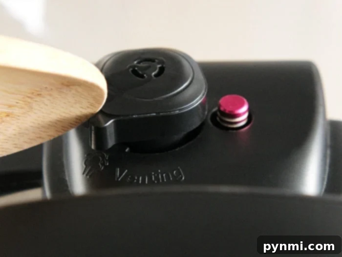 Instant Pot ready to cook white rice