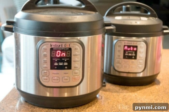 Instant Pot White Rice ready to be served