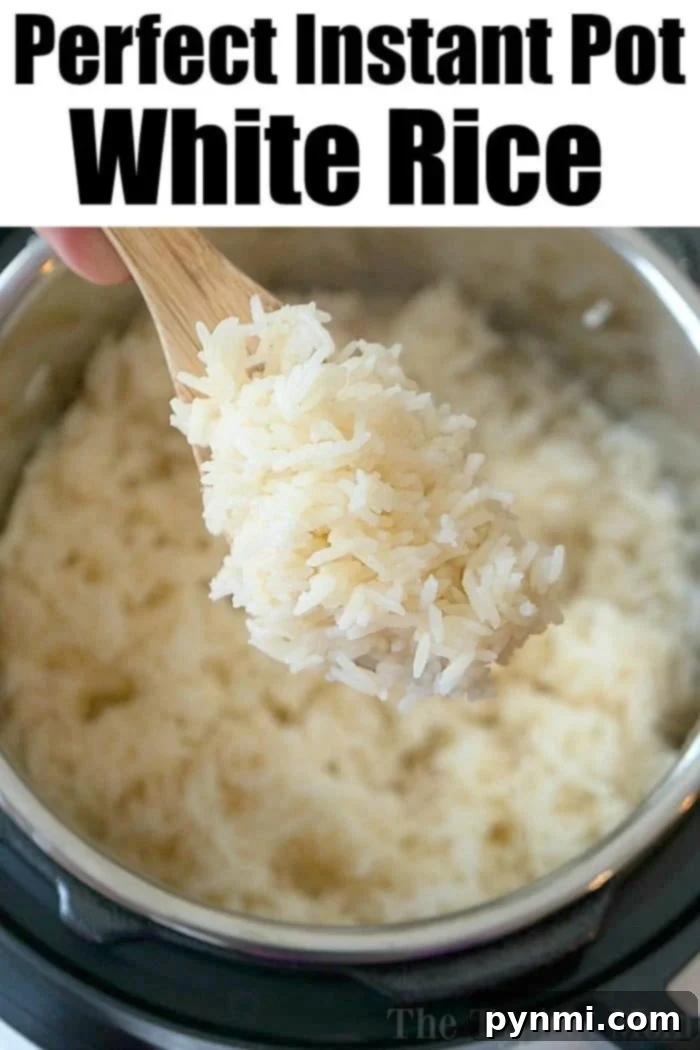 Instant Pot white rice in a bowl, ready to eat.