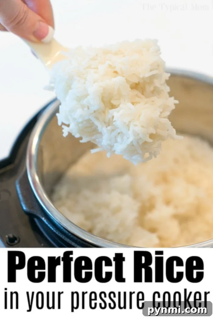 Fluffy pressure cooker white rice served in a bowl.