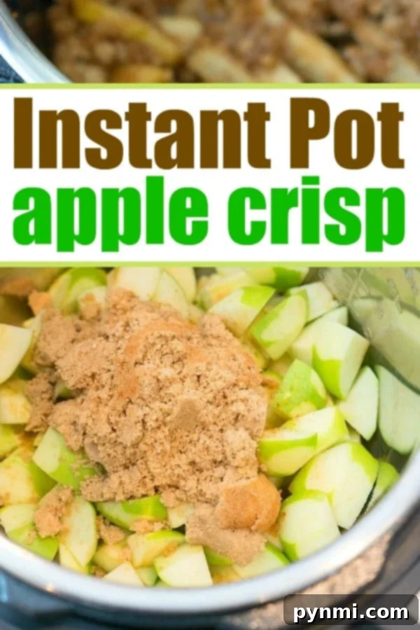 Instant Pot apple crisp recipe is amazing! Tastes like copycat Cracker Barrel baked apples we love but made in less than 20 minutes total. Warm cinnamon apples coated with a ooey gooey brown sugar glaze your family will go crazy over for sure. Try this homemade pressure cooker fruit dessert this week! #instantpot #pressurecooker #apples #applecrisp #dessert #bakedapples #instantpotrecipes #thetypicalmom #easy Delicious pressure cooker apple crisp ready to be served.