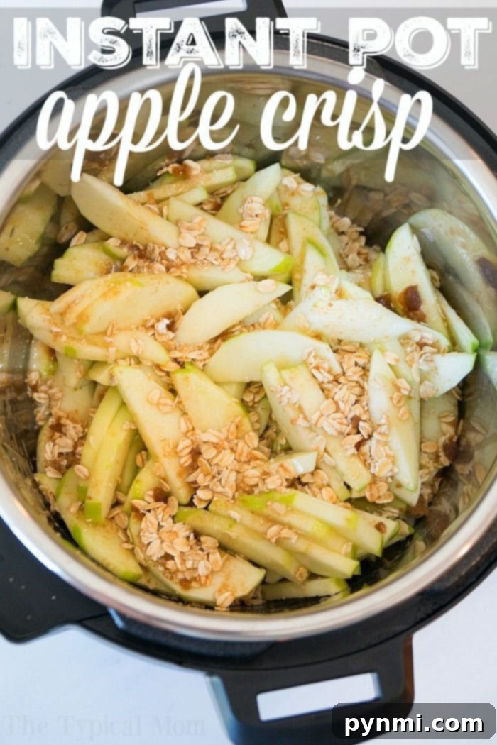 This Instant Pot apple crisp recipe is amazing! Tastes like copycat Cracker Barrel baked apples we love but made in less than 20 minutes total. Warm cinnamon apples coated with a ooey gooey brown sugar glaze your family will go crazy over for sure. Try this homemade pressure cooker fruit dessert this week! #instantpot #pressurecooker #apples #applecrisp #dessert #bakedapples #instantpotrecipes #thetypicalmom A freshly made Instant Pot apple crisp, warm and inviting.