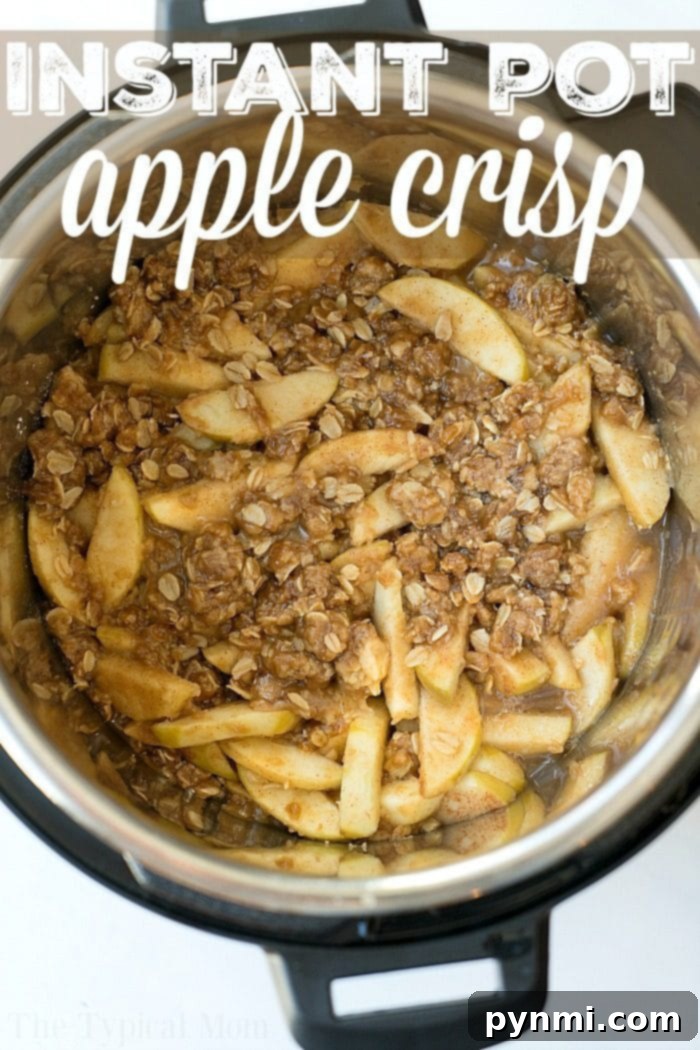 This Instant Pot apple crisp recipe is amazing! Tastes like copycat Cracker Barrel baked apples we love but made in less than 20 minutes total. Warm cinnamon apples coated with a ooey gooey brown sugar glaze. Try this homemade pressure cooker fruit dessert this week! #instantpot #pressurecooker #apples #applecrisp #baked #dessert #pie Delicious instant pot apple crisp with a rich brown sugar glaze.