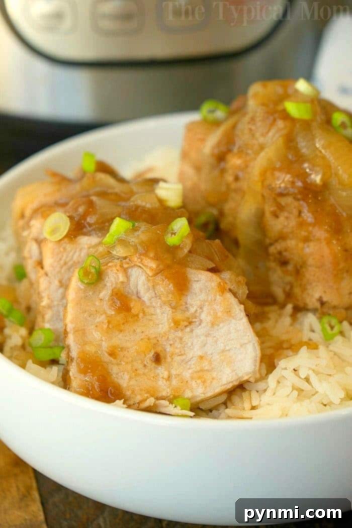 Instant Pot French Onion Pork Tenderloin with a thick gravy, ready to serve.