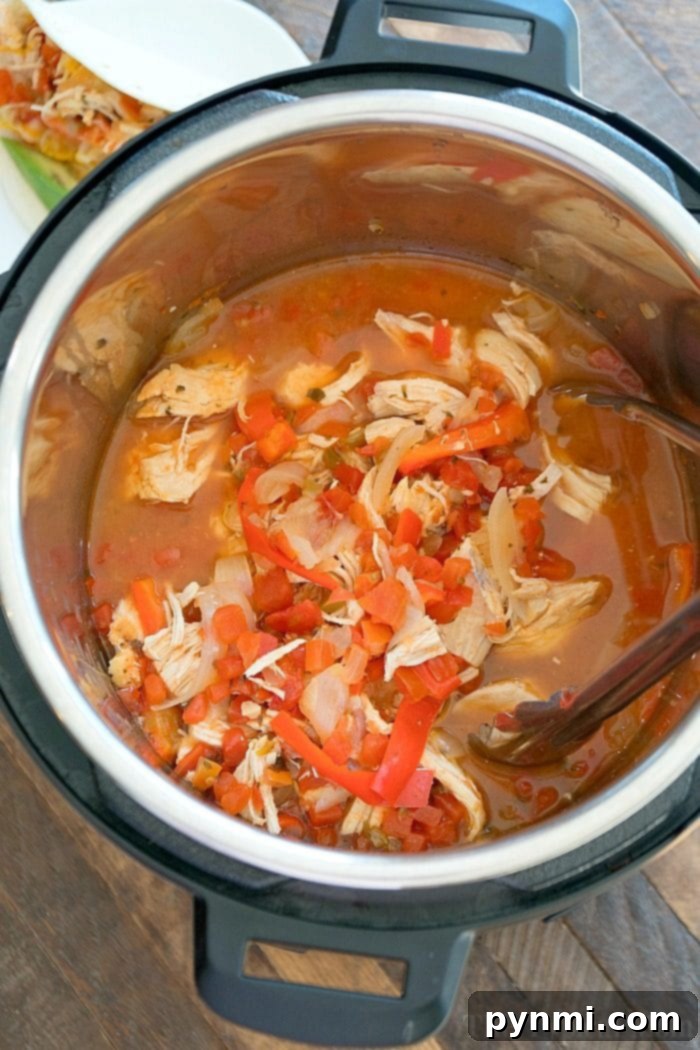 Instant Pot salsa chicken is so easy to make and you only need 3 ingredients! Really healthy pressure cooker recipe that we make into shredded chicken tacos. #instantpotrecipes #pressurecooker #salsachicken #chicken #tacos #healthy #shredded #thetypicalmom #instantpot Instant Pot Salsa Chicken served in a bowl, showcasing its rich texture and vibrant colors.