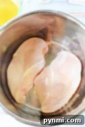 Zesty Instant Pot Salsa Chicken 3 Two raw chicken breasts in a stainless steel mixing bowl, seasoned and ready for the instant pot.