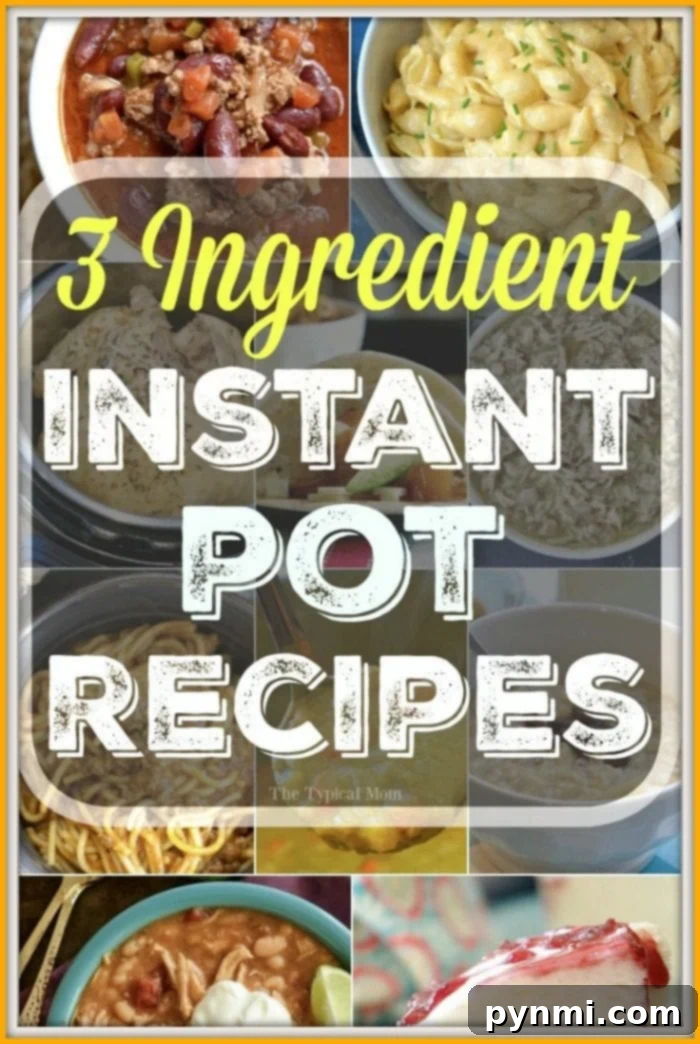 Easy 3-Ingredient Instant Pot Recipes for Dinners, Desserts, and Sides Collection of Easy 3 Ingredient Instant Pot Recipes