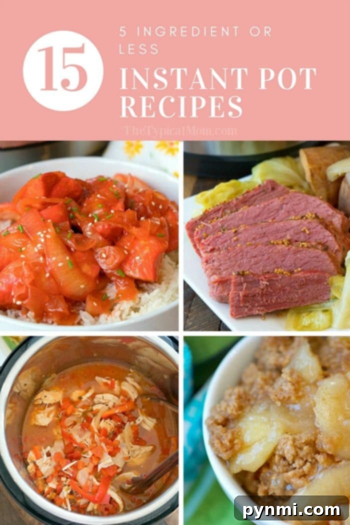 More Easy Instant Pot Recipes with 3 to 5 Ingredients for Every Meal Variety of 3 and 5 Ingredient Instant Pot Recipes