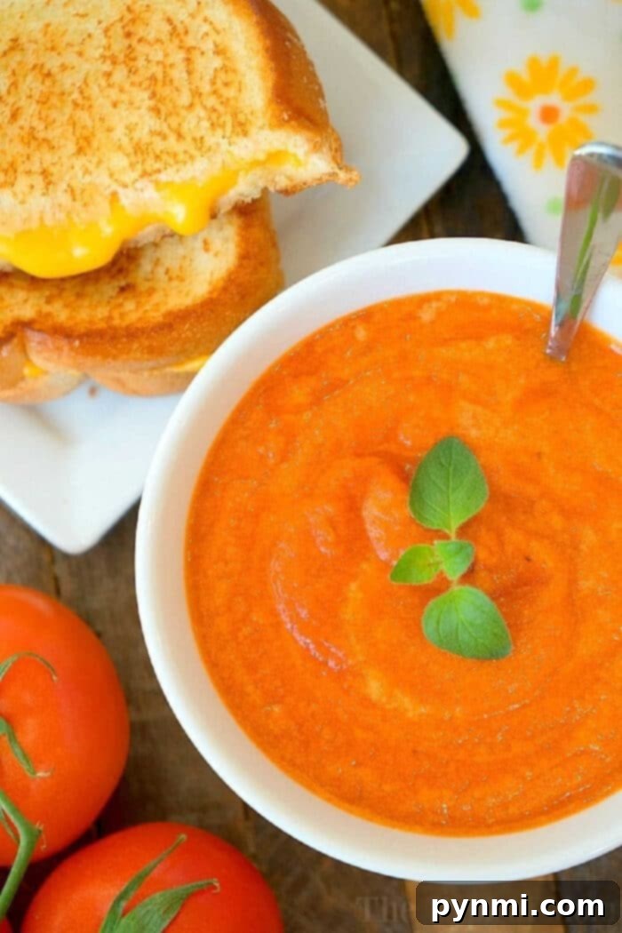 Velvety Tomato Comfort 2 A bowl of creamy tomato soup garnished with fresh basil, ready to be served. A slow cooker sits in the background.