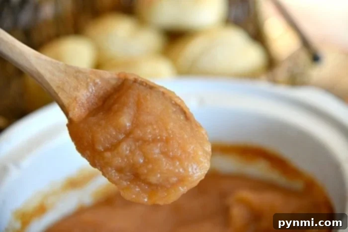 Homemade maple apple butter, a rich and sweet spread