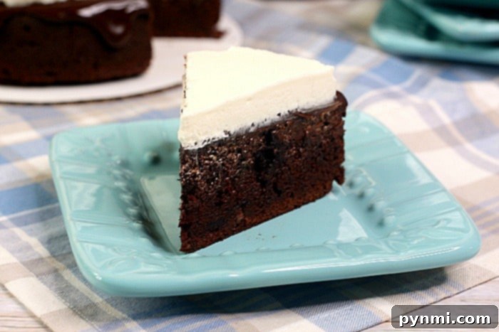A slice of chocolate cake with white frosting and ganache