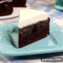 A delectable slice of chocolate Instant Pot cake with smooth white frosting rests invitingly on a light blue plate.
