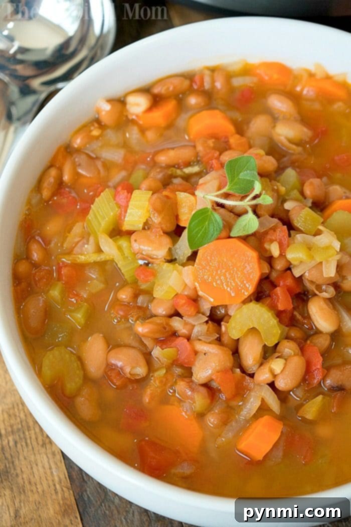 Instant Pot Pinto Bean Soup: Easy Recipe with Dry Beans & No Soaking A steaming bowl of Instant Pot Pinto Bean Soup, garnished with fresh herbs and served alongside crusty bread, hinting at a warm and comforting meal.