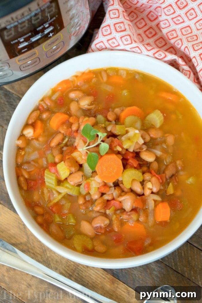 Instant Pot Pinto Bean Soup: Creamy, Flavorful, and Satisfying A close-up shot of creamy Instant Pot Pinto Bean Soup in a white bowl, garnished with a swirl of sour cream and a sprinkle of fresh cilantro, ready to be enjoyed.
