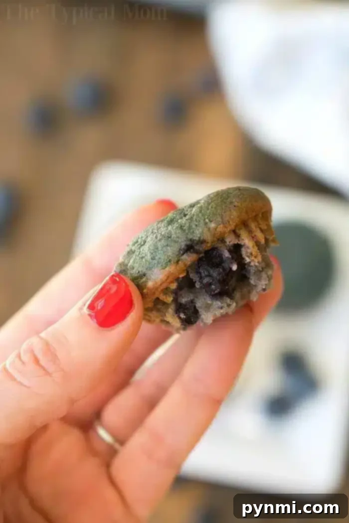 A person with red-painted nails holds a half-eaten blueberry muffin, reminiscent of blueberry pie filling. The small, moist muffin is dotted with visible blueberries. Blurred berries and a white plate create a soft background, almost like the aftermath of a delightful dump cake creation.