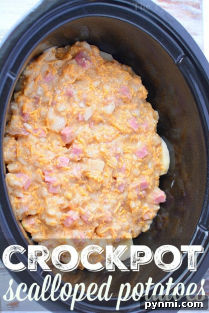 Hearty Slow Cooker Scalloped Potatoes - A Family Favorite A close-up shot of a serving of Slow Cooker Scalloped Potatoes in a bowl.
